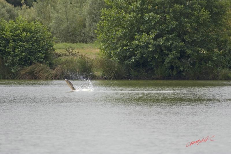 Cjp_2008_07_16_105240 (1).jpg